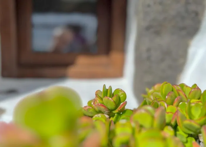 El Rincon De Aljibes Σπίτι διακοπών *